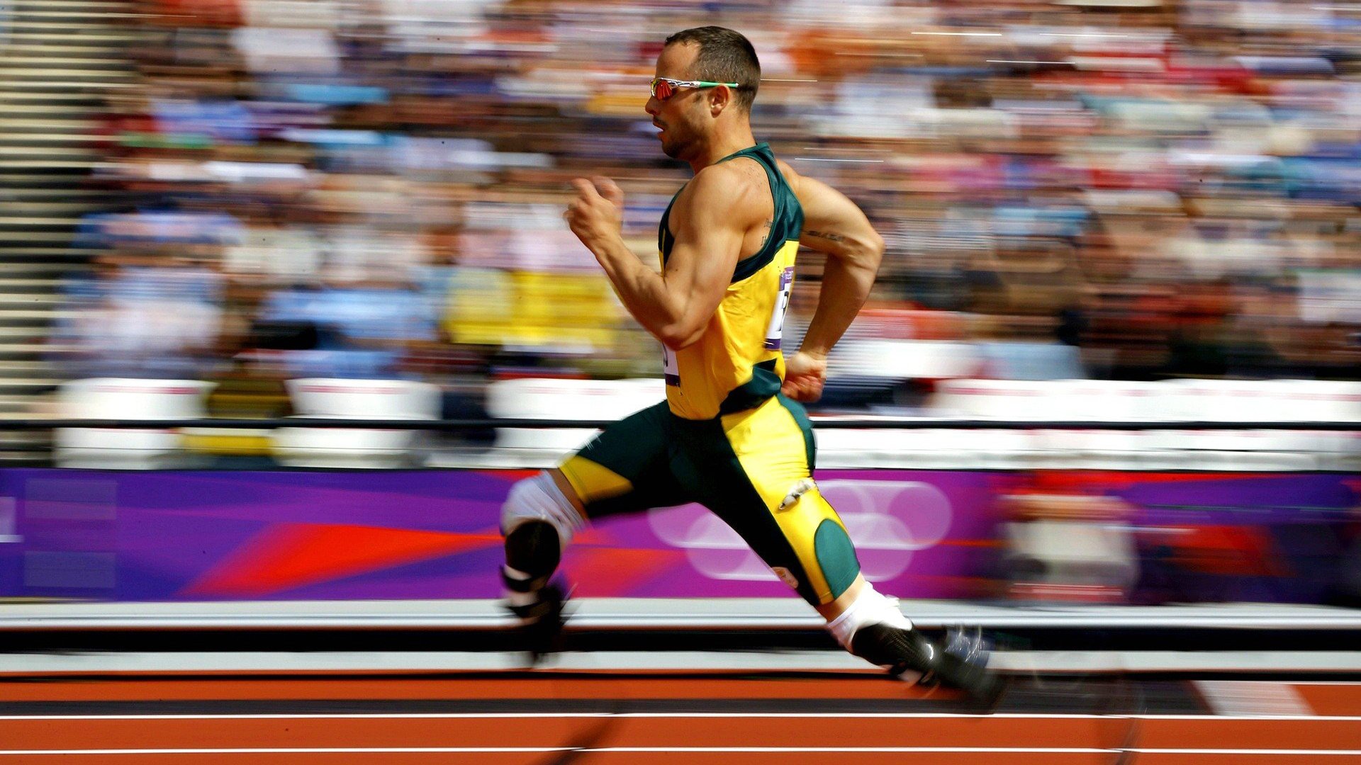 年度焦点之战之夜,弗拉霍维奇赛后评分拉满,一战封神